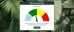 Joomla Nature Gain BMI Calculator Extension