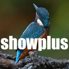 Joomla showplus Extension