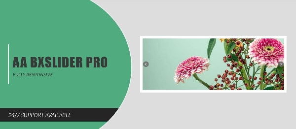 Joomla AA BxSlider Pro Extension