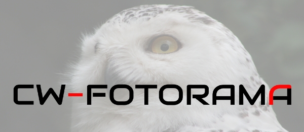 Joomla CW-fotorama Extension