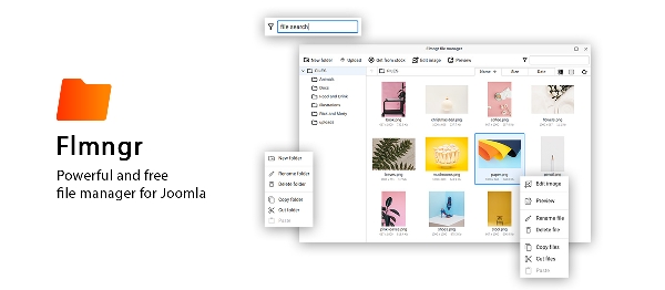 Joomla Flmngr File Manager Extension