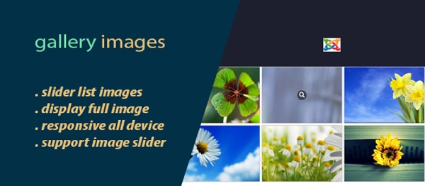 Joomla Gallery Images Extension