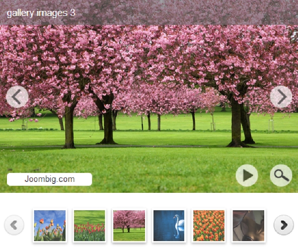 Joomla Joombig Gallery Slider Light Extension