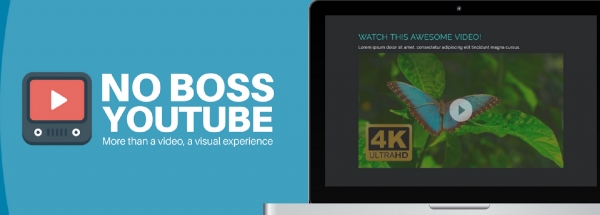 Joomla No Boss Youtube Extension