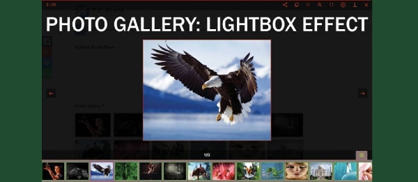 Joomla Photo Gallery: Lightbox Effect Extension