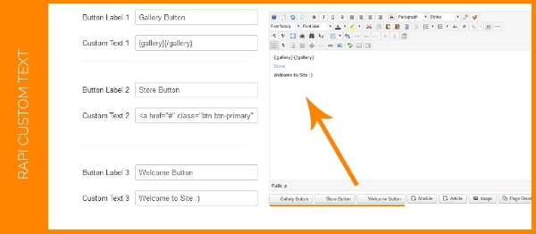 Joomla Rapi Custom Text Extension